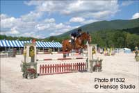Dorset, VT - Summer Festival Horse Shows - Brown Horse jumping Red Fence